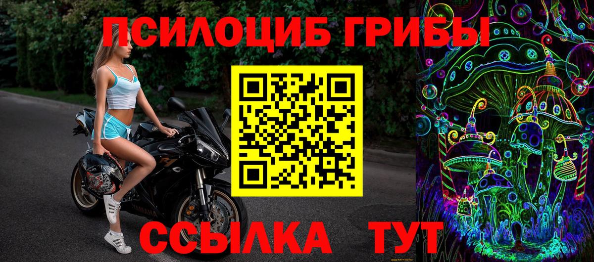 Псилоцибиновые грибы GOLDEN TEACHER Салехард